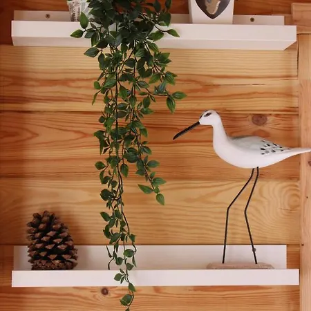 Chalet Esprit Zen Et Nature Avec Saint-Hilaire-de-Riez