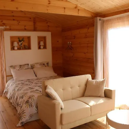 Esprit Zen Et Nature Avec *