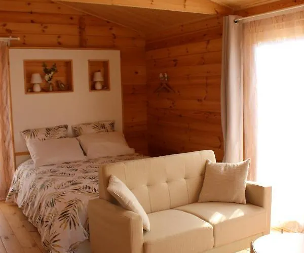 Esprit Zen Et Nature Avec *